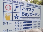 bay.JPG